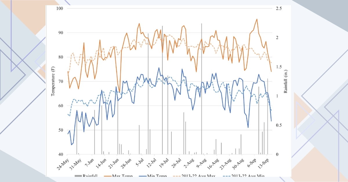 Daily high and low temperatures plotted for watermelons growing in 2023, as well as the 10-year average of high and low temperatures. Daily high and low temperatures plotted for watermelons growing in 2023, as well as the 10-year average of high and low temperatures.