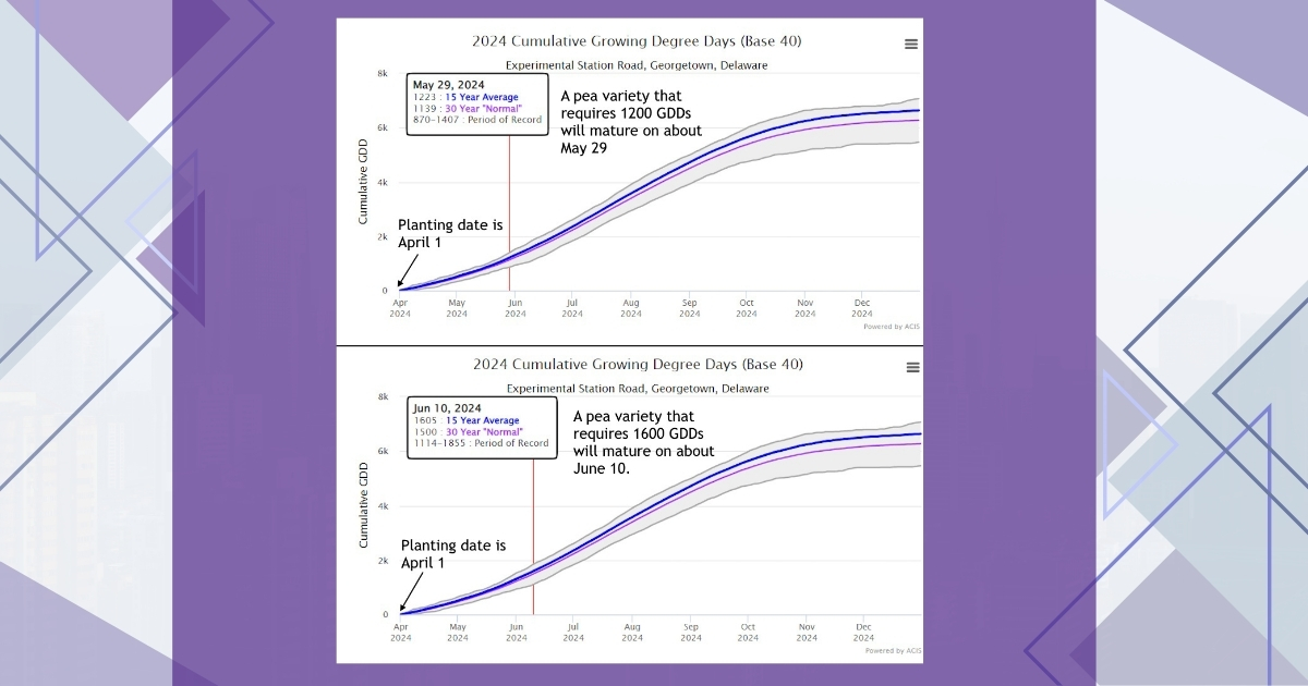 Climate Smart Farming Growing Degree Day Calculator used to predict maturity dates from crops.