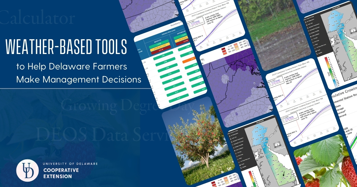 A collage of weather based tools along with crops and the title Weather-Based Tools to Help Delaware Farmers Make Management Decisions