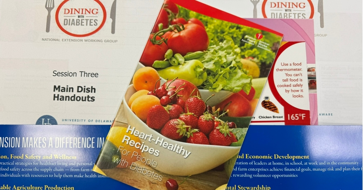 An image of a folder opened with materials handed out from Dining with Diabetes