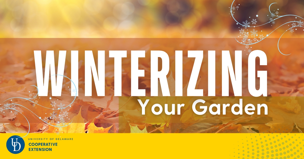 The lead photo with a background of fall leaves and the title "Winterizing Your Garden" in the center The lead photo with a background of fall leaves and the title "Winterizing Your Garden" in the center