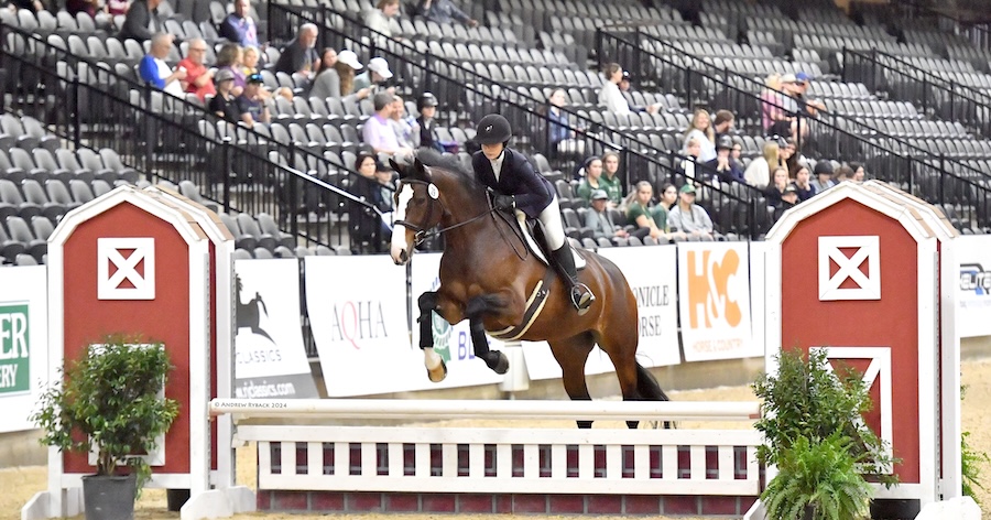 University of Delaware student on a horse jumping over a hurdle
