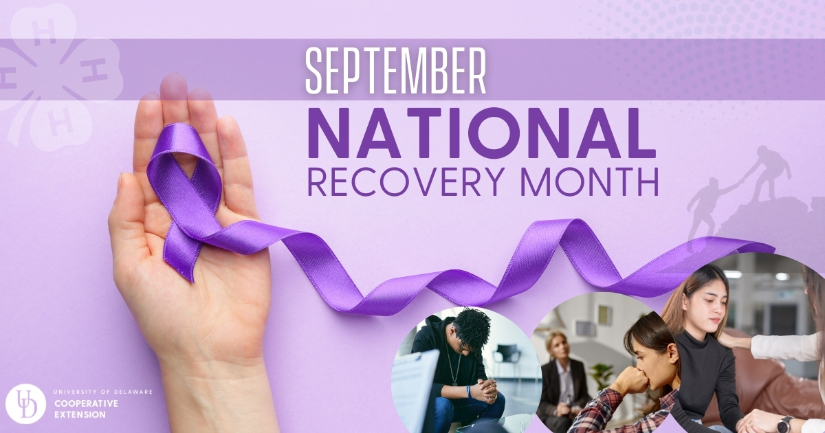 National Recovery Month is held every September to celebrate people on their path to recovery Lead photo for: National Recovery Month is held every September to celebrate people on their path to recovery. A hand holding a purple ribbon on a purple background. Three images of older teens in stress