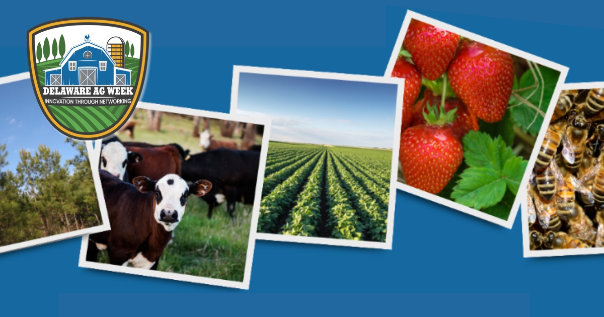 ag_week_23_website_properties_img_extension_1200x630 - 1 ag_week_23_website_properties_img_extension_1200x630 - 1