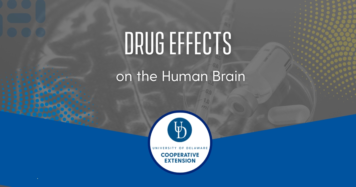 Lead photo with title DRUG EFFECTS on the Human Brain Lead photo with title DRUG EFFECTS on the Human Brain