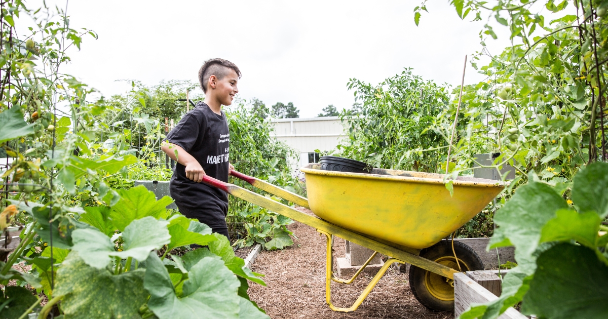 outdoor3 - 1 A 4-H participant in a garden