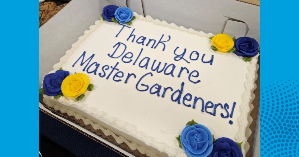 Awards cake