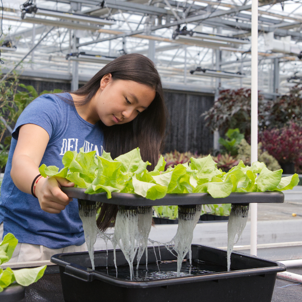 Evyn Appel with hydroponics