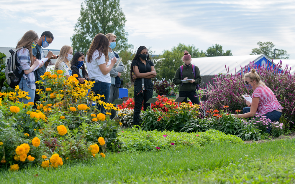 Students in Anna Wik's Herbaceous Landscape Plants (PLSC211) class on the College of Agriculture and Natural Resources campus at the Landscape Color Trial Garden.