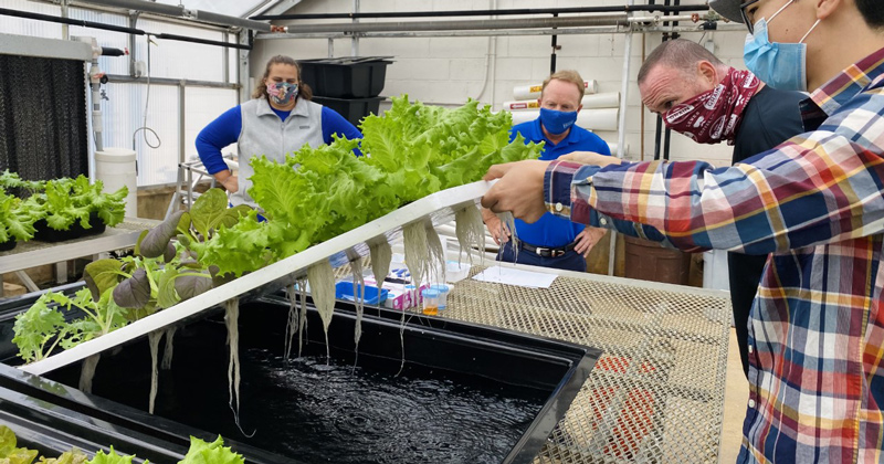 Students learning hydroponics in the Fisher Greenhouse