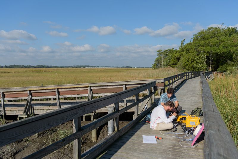 Rodrigo Vargas (blue patterned shirt), associate professor of plant and soil sciences, along with his graduate students Alma Vazquez Lule (gray striped shirt), César Hinojo-Hinojo (dark gray tee w/ jeans), Branimir Trifunovic (white, long-sleeve shirt), and visiting student Josep Barba conducting research in the forest and marsh of the St. Jones Reserve in Dover, DE. - (Evan Krape / University of Delaware)