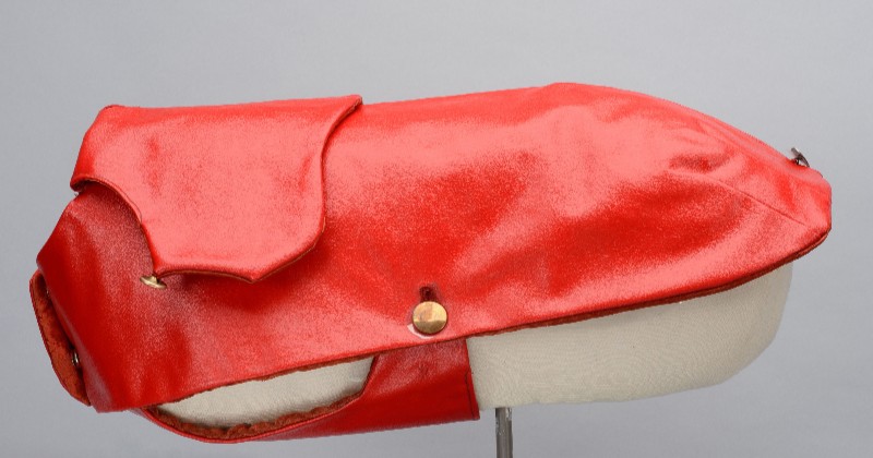 Red dog coat