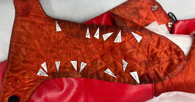 Lining of a dog coat