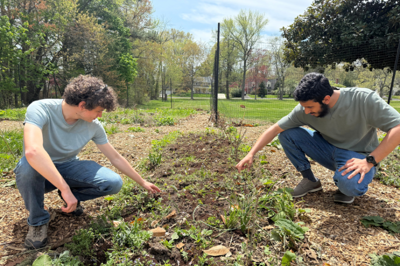 James Bretzger and Al Mukhtar Al Barwani (Two UD students) planting