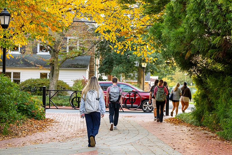 College students walking on tree-lined brick path.