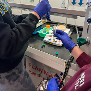 Hands of students working with lab equipment under a hood Gloved hands of students working with lab equipment under a hood