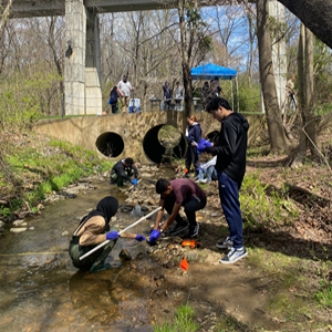 Students doing a science experiment outside near a creek Students doing a science experiment outside near a creek