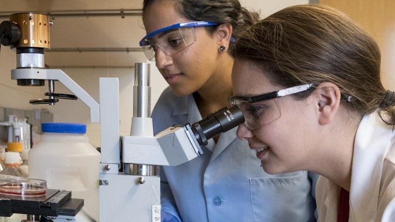 Two female students working in a lab with a microscope
