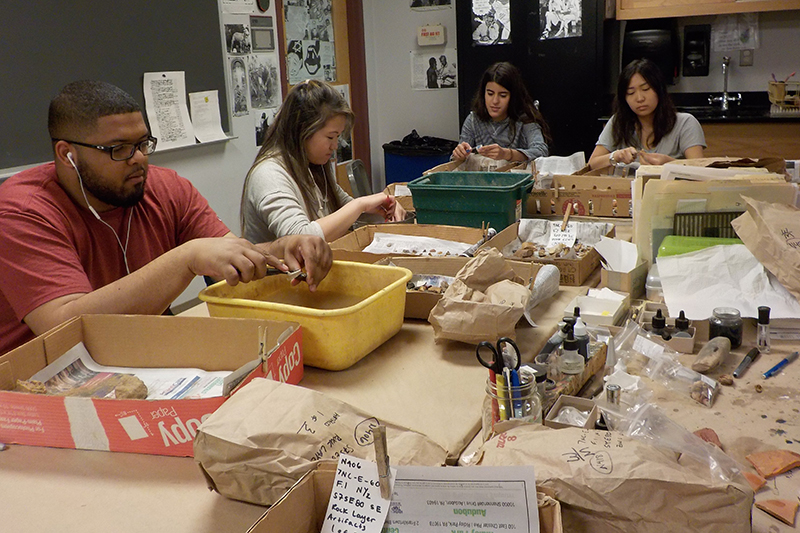 University of Delaware students in the Anthropology Lab sort through buckets of artifact and specimens covering a table.