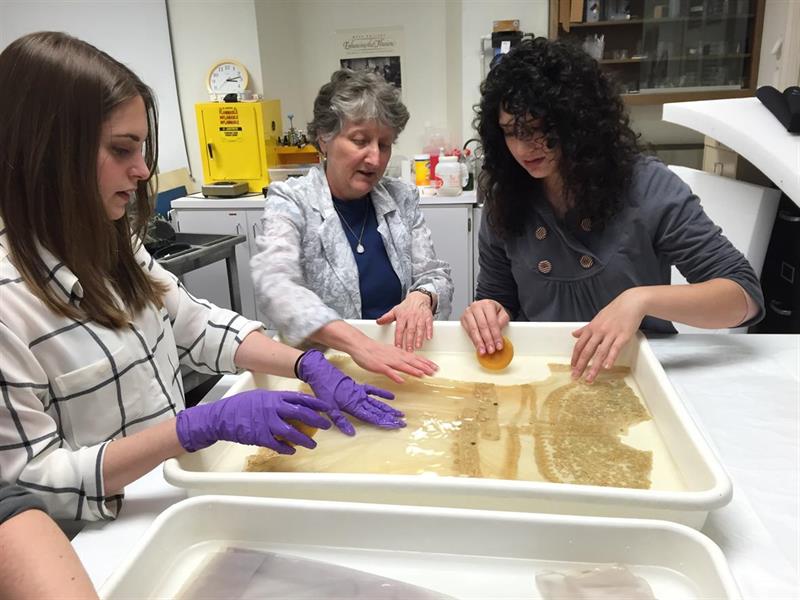 ​Vicki Cassman demonstrates textile cleaning methods to undergraduate students. ​