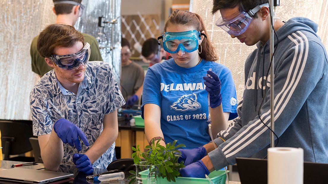 Students working in a biological sciences lab