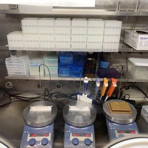 High Throughput Experimentation Facility