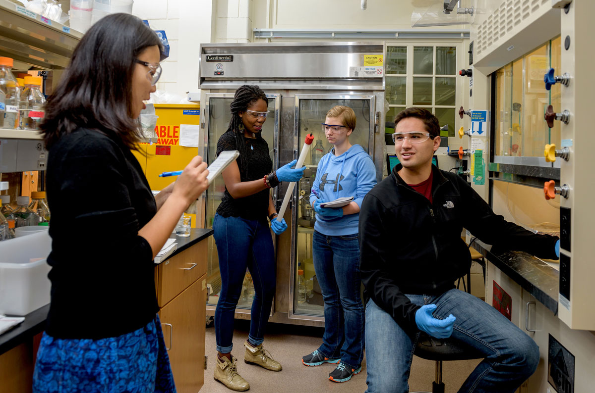 Students working in a biochemistry sciences lab