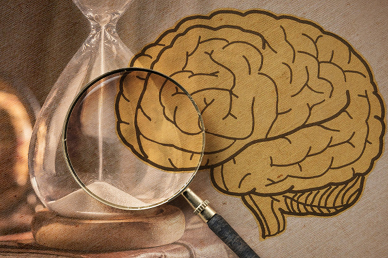 Magnifying glass over an hourglass and a vintage illustration of a brain