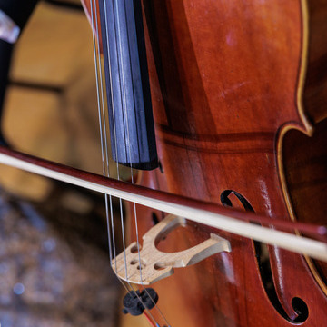 Abeo String Quartet