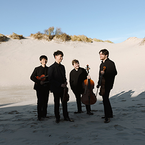 Four string musicians with instruments and dressed in black suits while performing on a sandy beach.