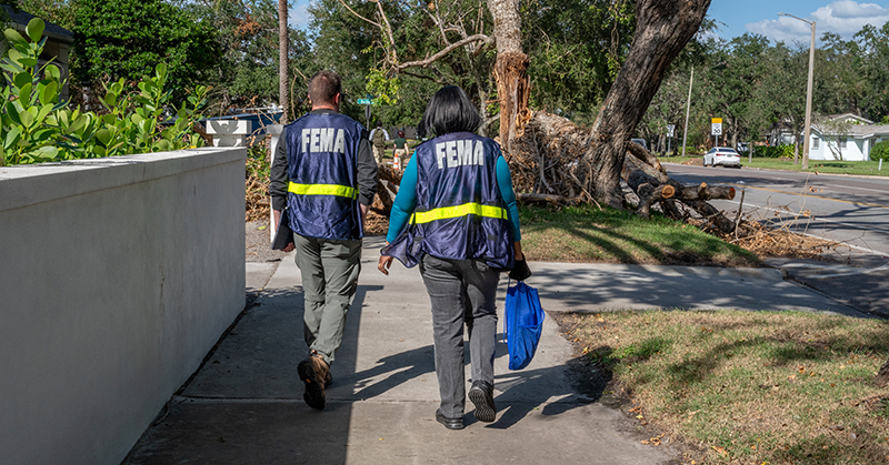 Two workers wearing blue FEMA jackets walk on a sidewalk in a residential neighborhood toward a storm-damaged tree with large broken branches.