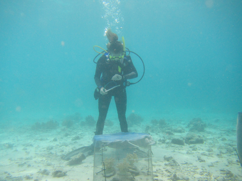 Scuba diver with net