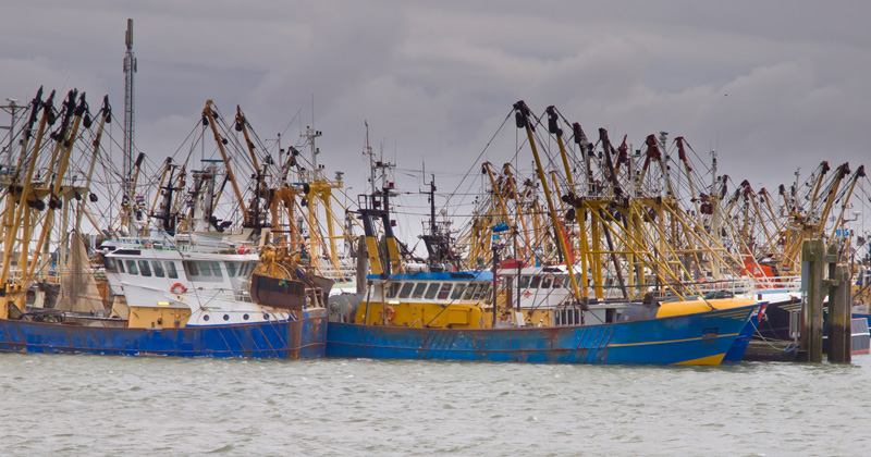 Fishing boats are waiting for the weather to clear up in a dutch harbor