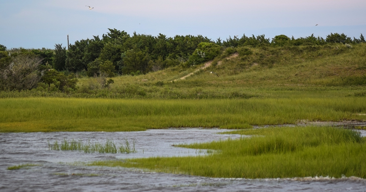 salt-water-marsh August Ocean Currents Lecture