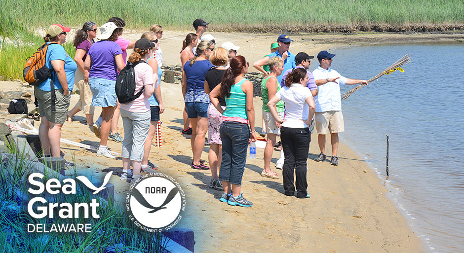 Local teachers K-12 attend workshop lead by Delaware Sea Grant's Chris Petrone.