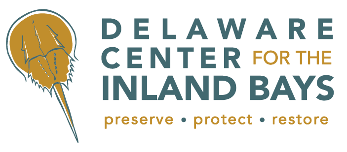 DCIB Logo