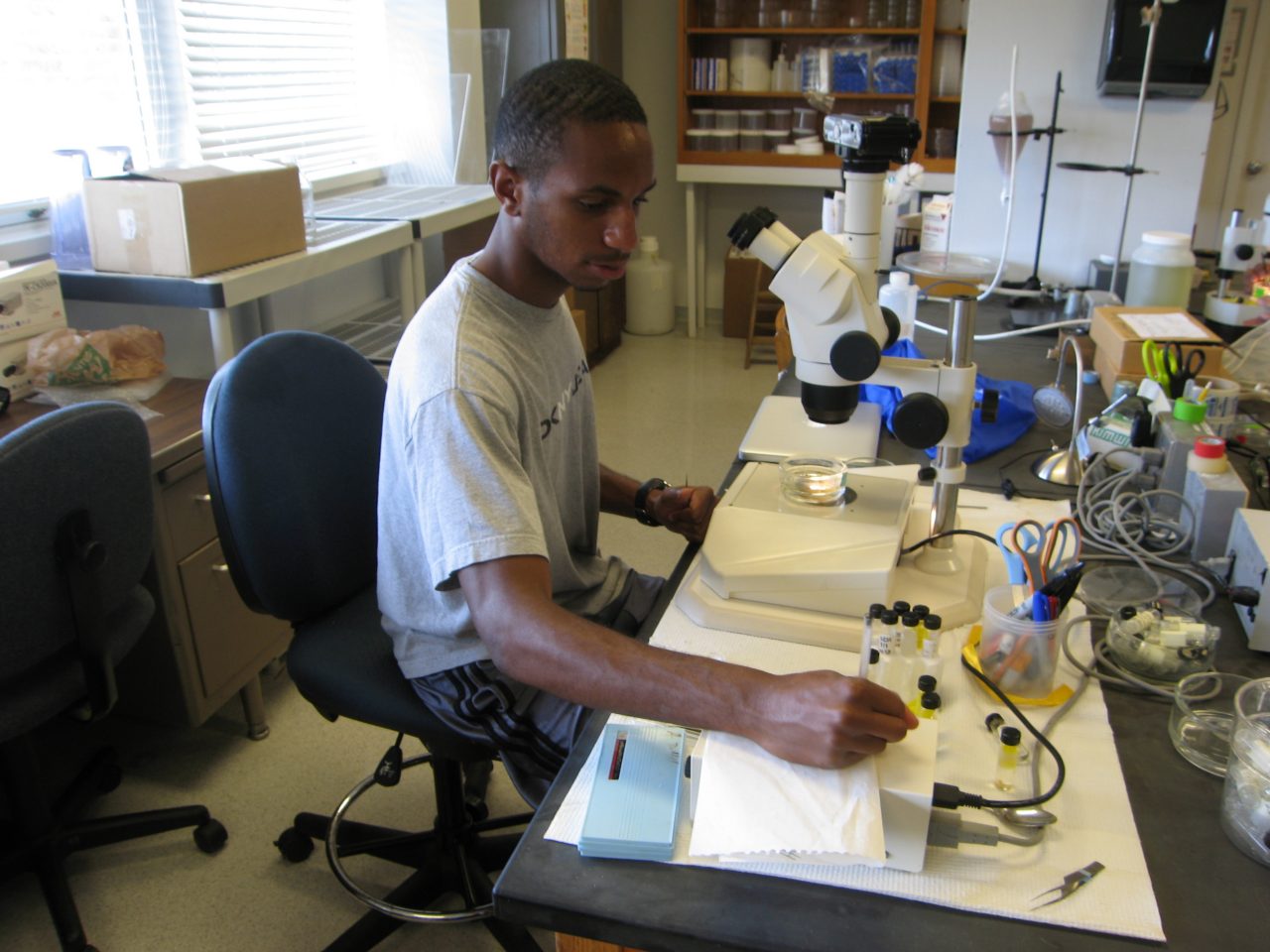 REU student taking notes in a lab, with microscope