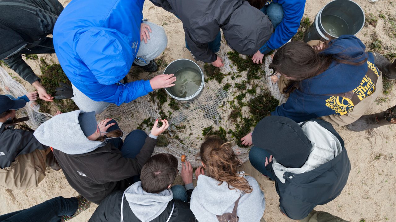 Overhead shot of students conducting hands-on research at a beach