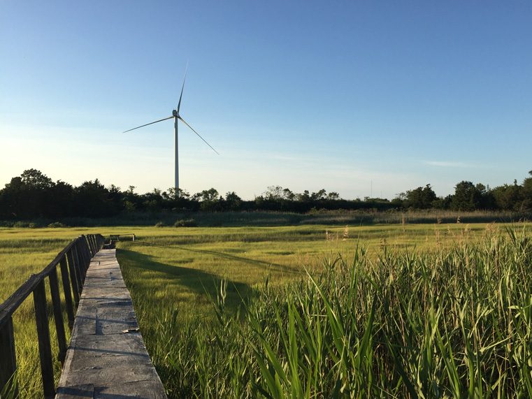 Landscape view of Lewes Campus, including turbine