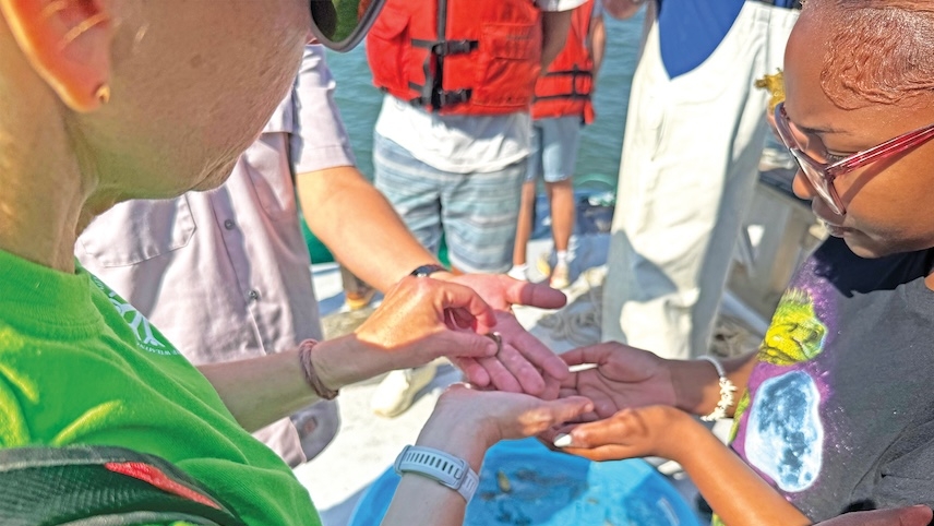 Wilmington Green Jobs program