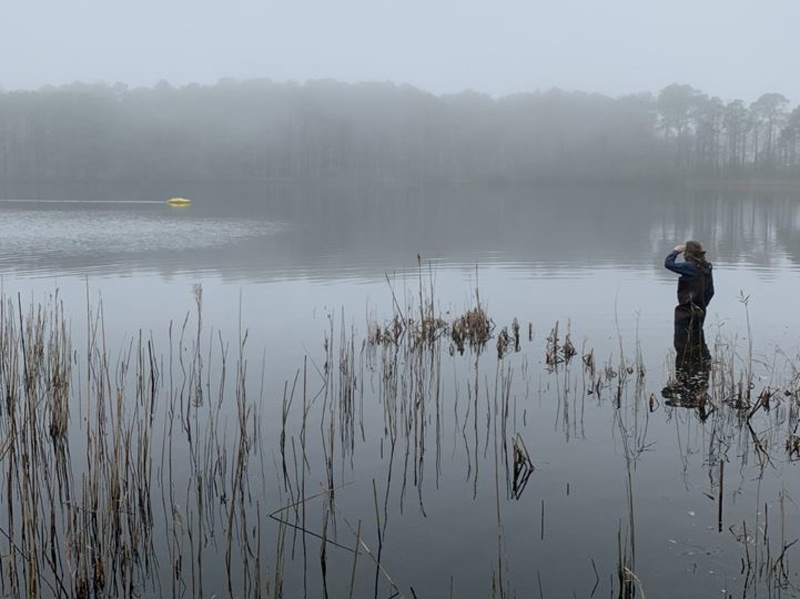 Researcher standing in marshland
