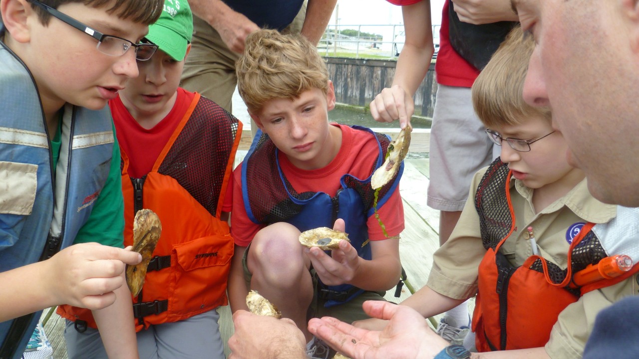 Boy Scouts visit DESG