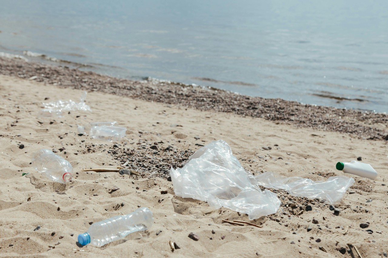 Marine debris on beach