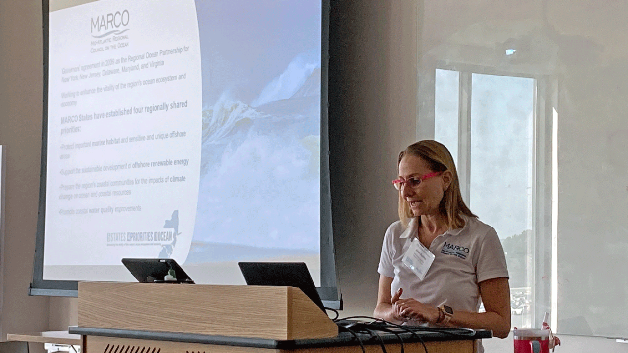 Delaware Sea Grant holds marine carbon dioxide removal workshop and symposium