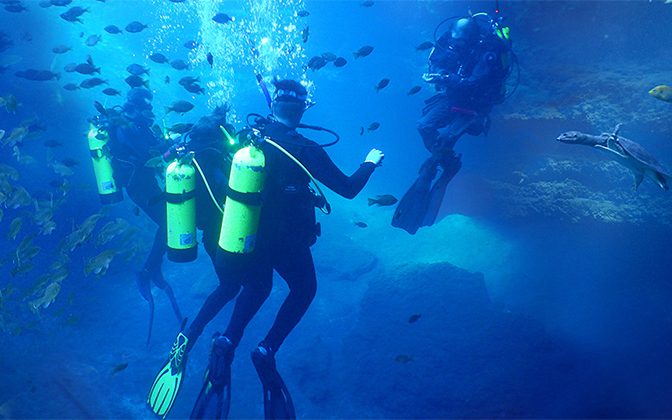 Students underwater in the UD scuba certification class