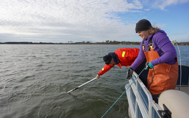 Delaware Sea Grant (DESG)