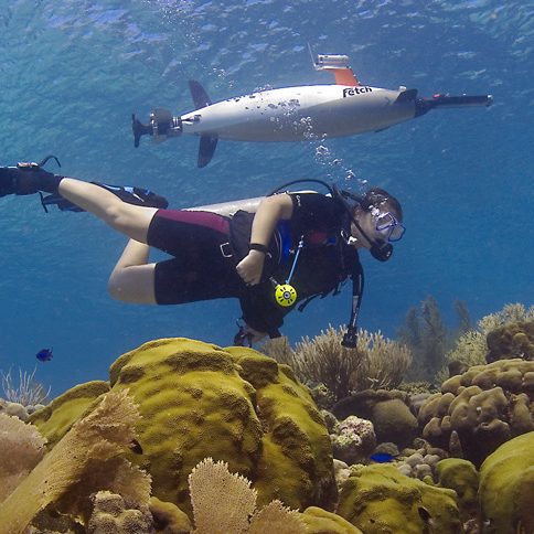Bonaire 2008: Exploring Coral Reef Sustainability with New Technologies