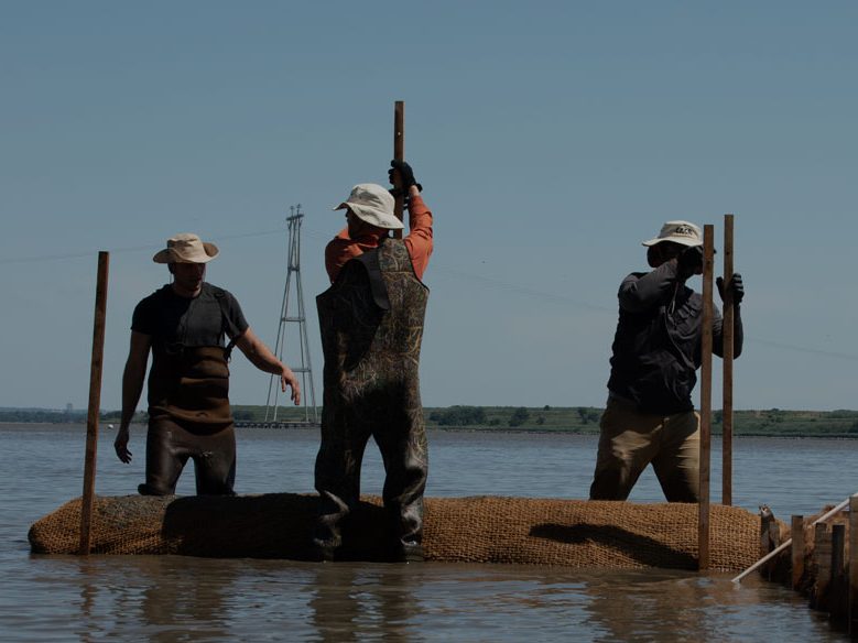 Students building a living shoreline