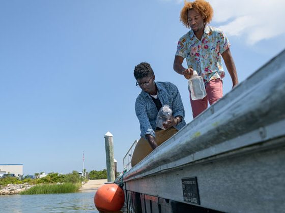 Grad students conducting water quality sampling