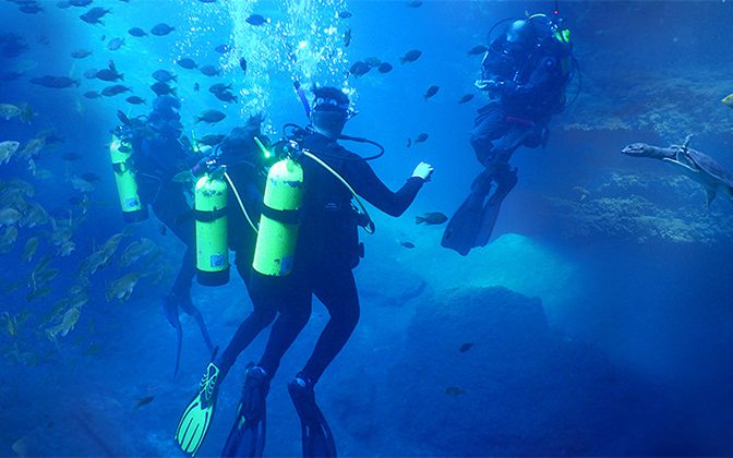 Students during a winter session scuba class